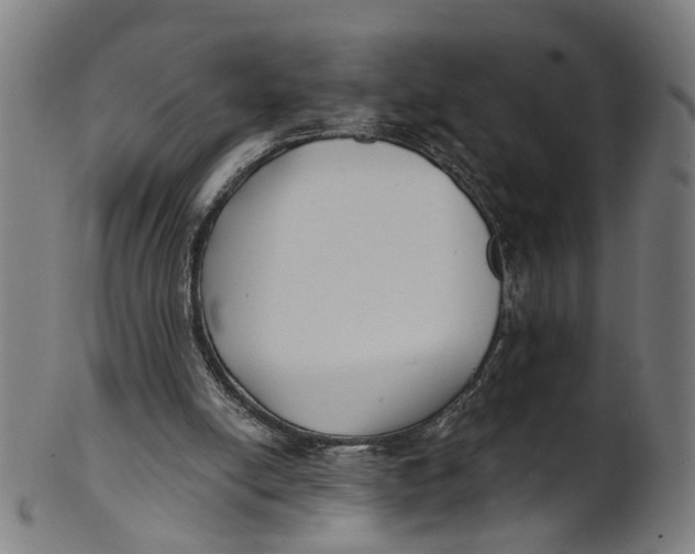 X0000100870054200807111328