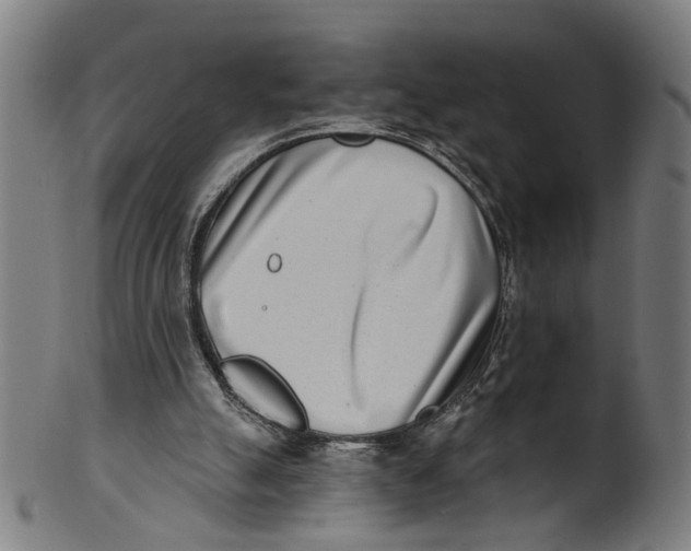 X0000100870055200807111328