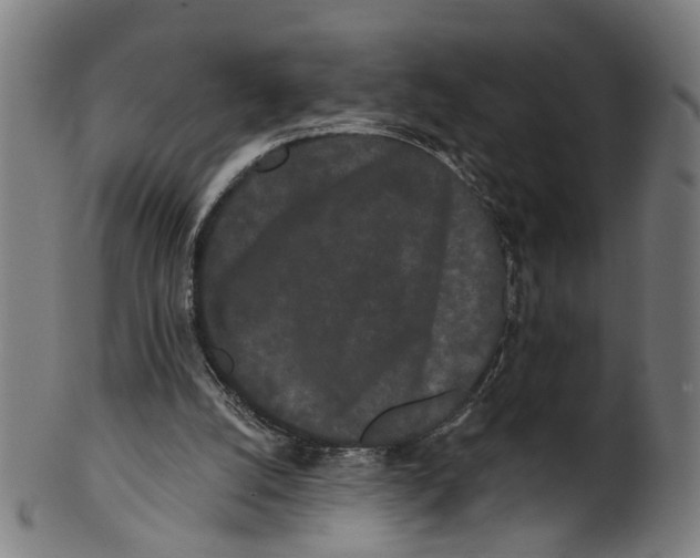 X0000100870056200807111328