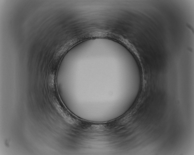 X0000100870057200807111328
