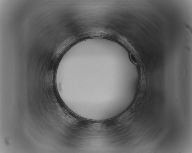 X0000100870058200807111328