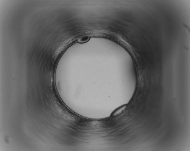 X0000100870059200807111328