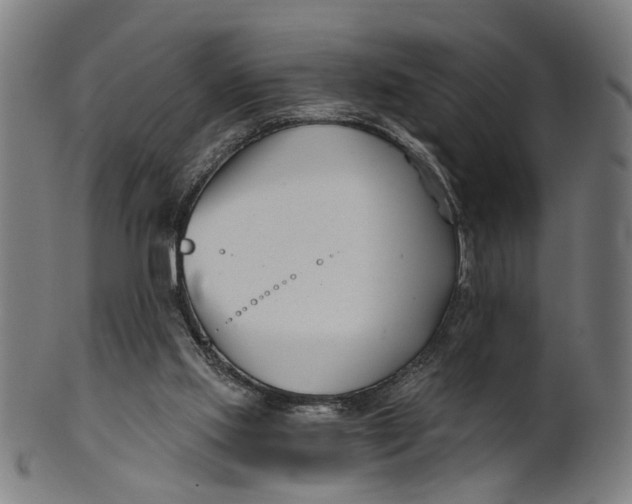 X0000100870061200807111328