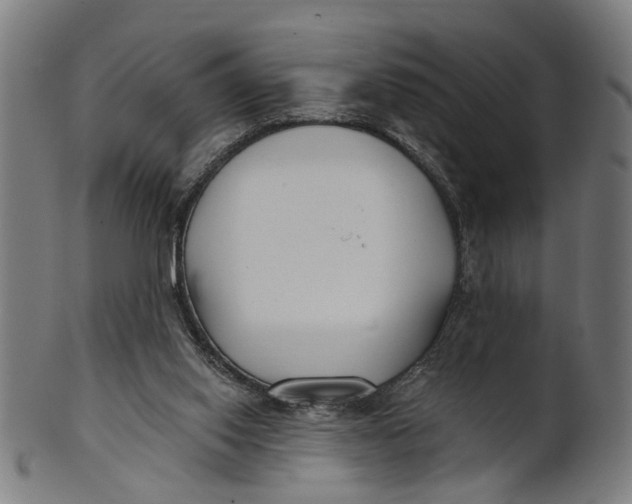 X0000100870062200807111328
