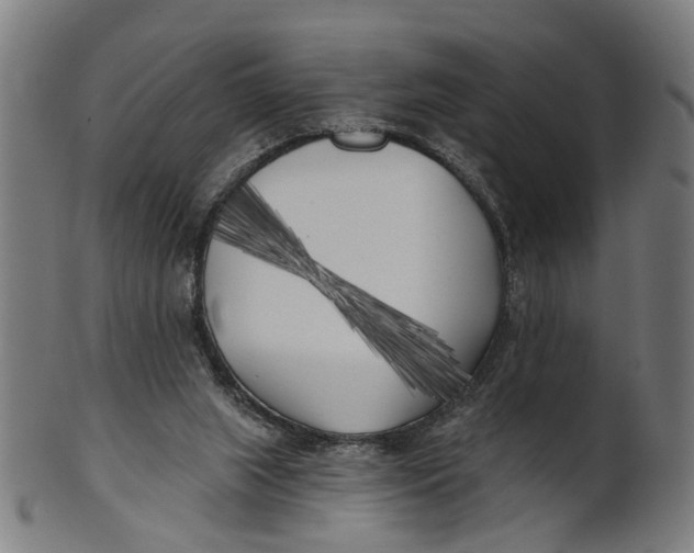 X0000100870063200807111328