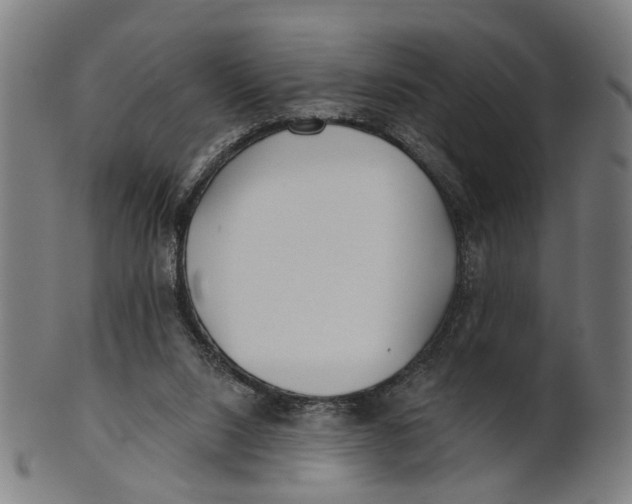 X0000100870064200807111328