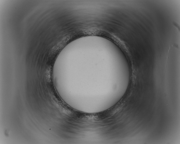 X0000100870065200807111328
