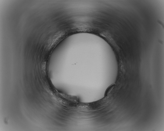 X0000100870066200807111328