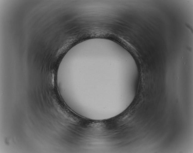 X0000100870067200807111328