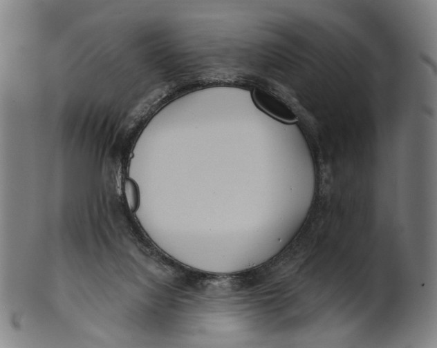 X0000100870068200807111328
