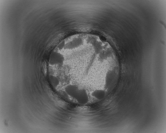 X0000100870069200807111328