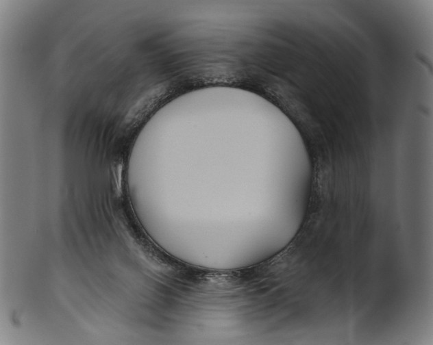 X0000100870070200807111328