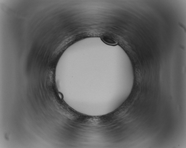 X0000100870071200807111328
