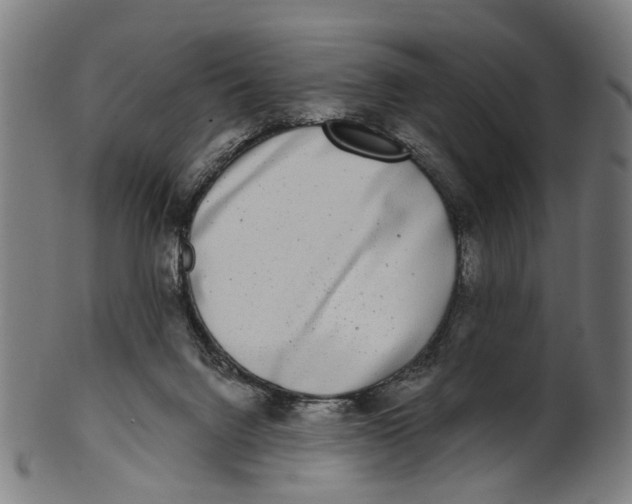 X0000100870072200807111328