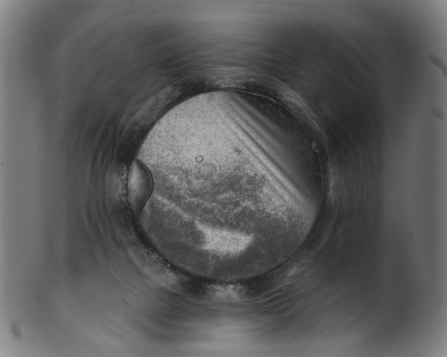 X0000100870073200807111328