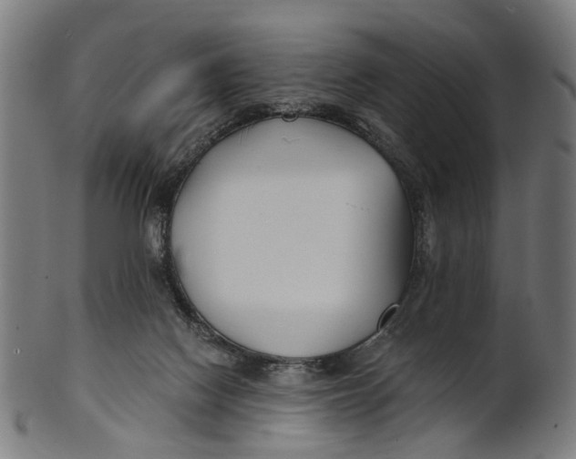 X0000100870074200807111328