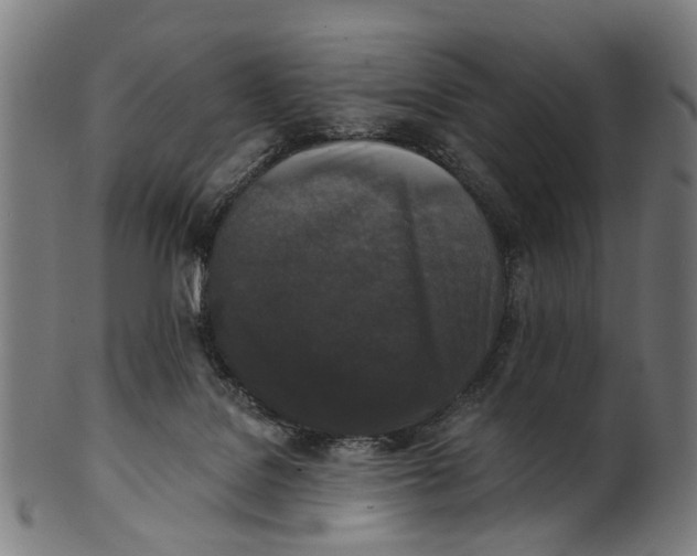 X0000100870076200807111328