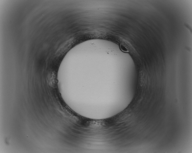 X0000100870077200807111328