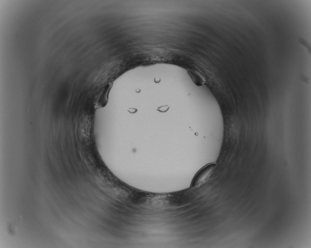 X0000100870078200807111328