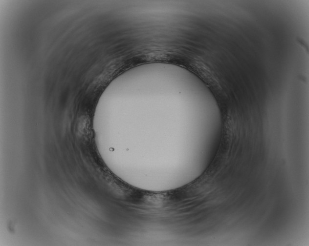X0000100870079200807111328