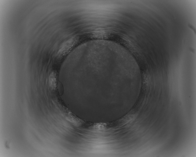 X0000100870080200807111328