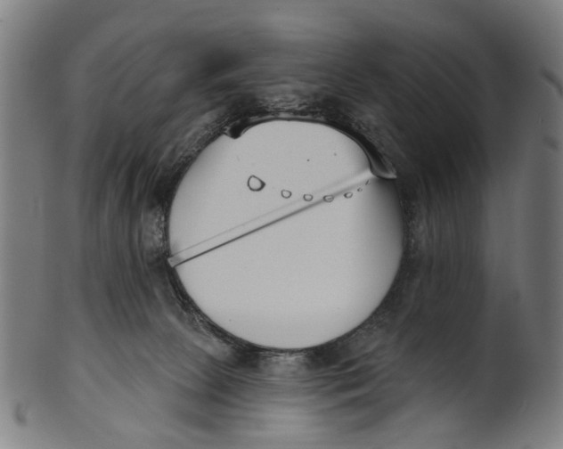 X0000100870081200807111328