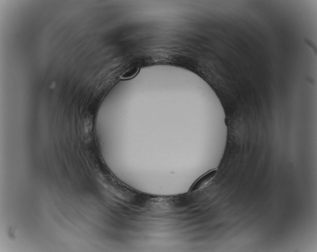 X0000100870082200807111328
