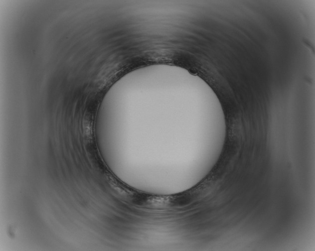 X0000100870084200807111328