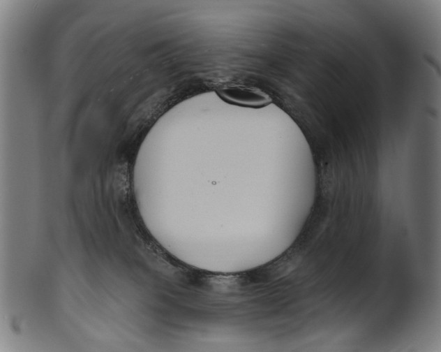 X0000100870085200807111328