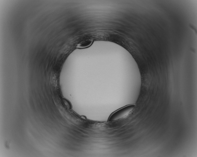 X0000100870086200807111328