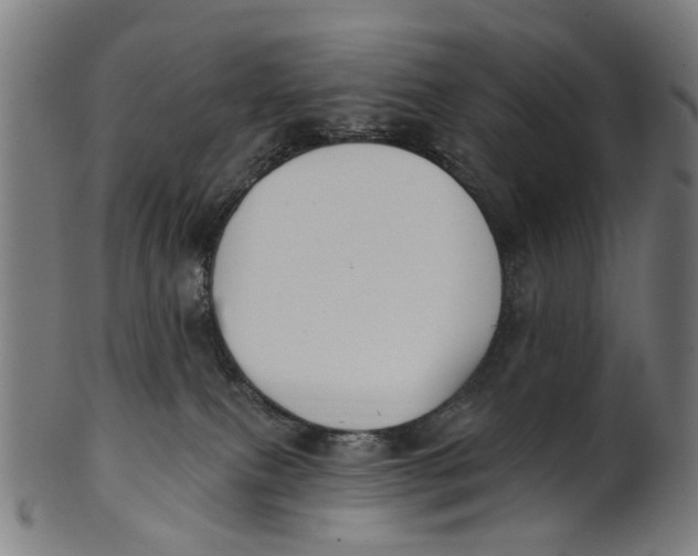 X0000100870087200807111328