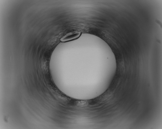 X0000100870088200807111328