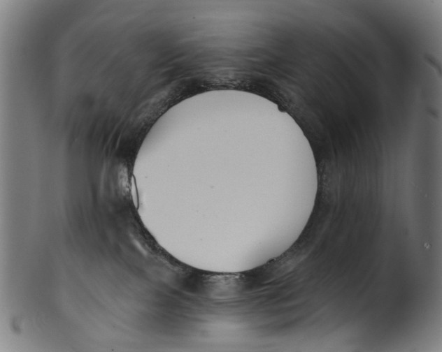 X0000100870089200807111328