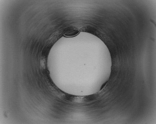 X0000100870090200807111328
