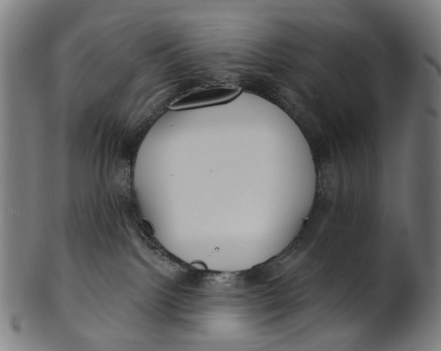 X0000100870092200807111328