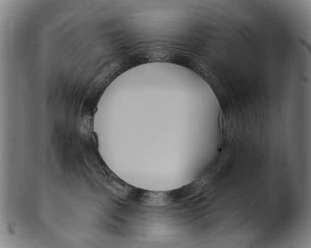 X0000100870093200807111328