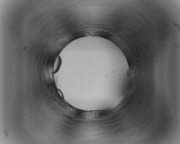 X0000100870094200807111328