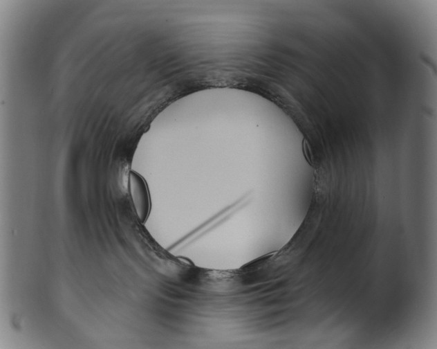 X0000100870095200807111328