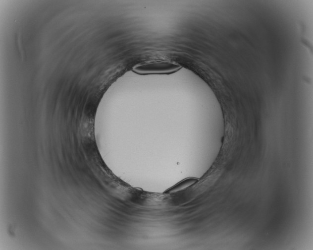 X0000100870096200807111328