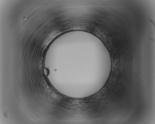 X0000100870098200807111327