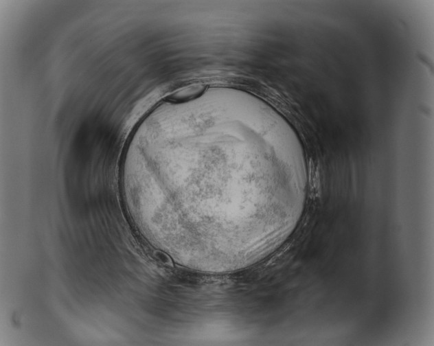 X0000100870099200807111327