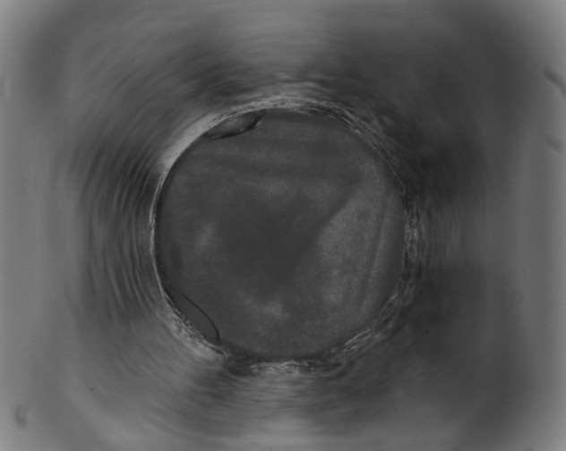 X0000100870100200807111327