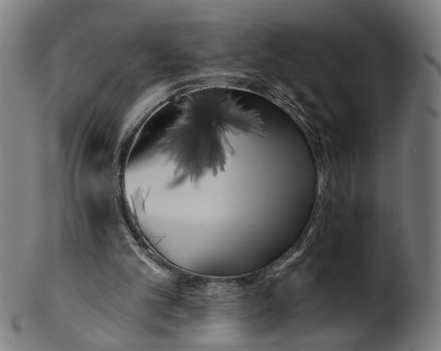 X0000100870101200807111327