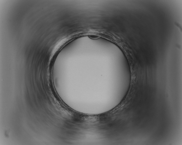 X0000100870102200807111327