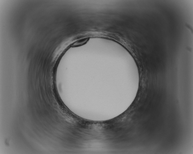 X0000100870103200807111327