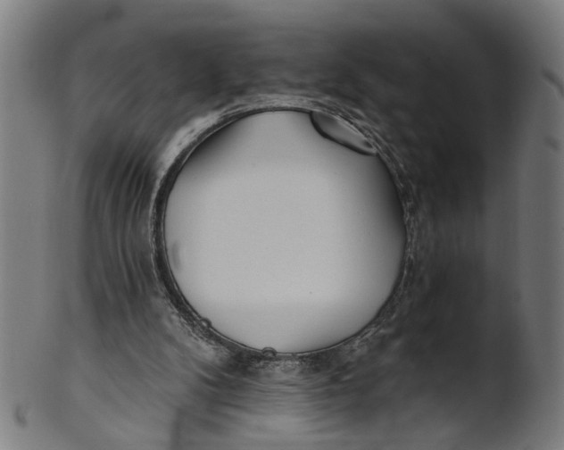 X0000100870104200807111327