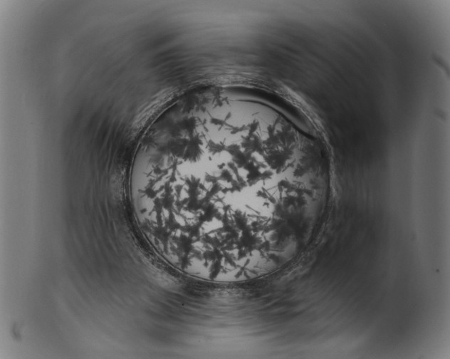 X0000100870105200807111327