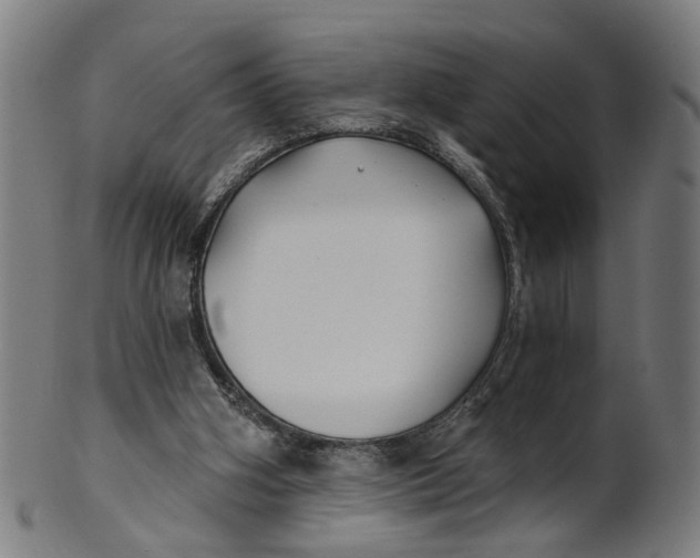 X0000100870106200807111327