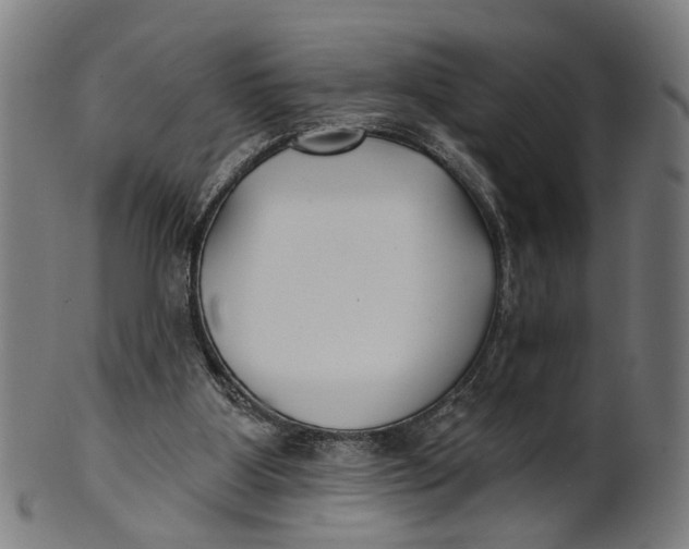 X0000100870107200807111327