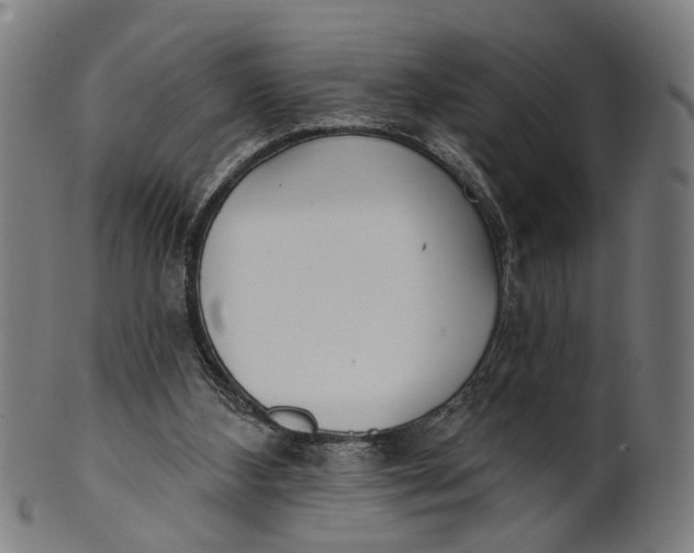 X0000100870108200807111327